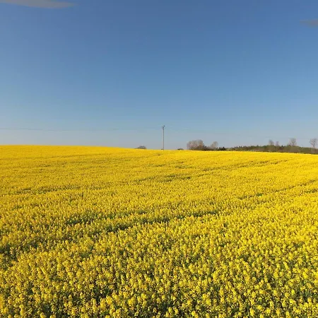 Schleiblick Sparzimmer 1 Lägenhet Rabenkirchen-Faulück